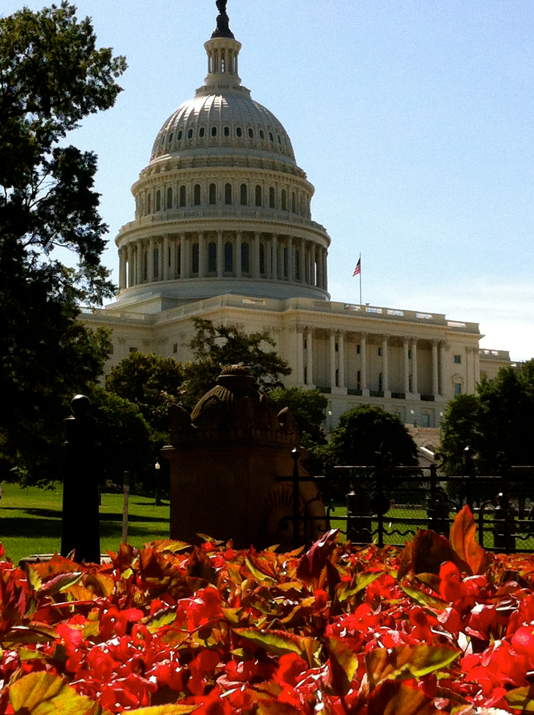 DC - Capitol Building - Katie (2) (1)