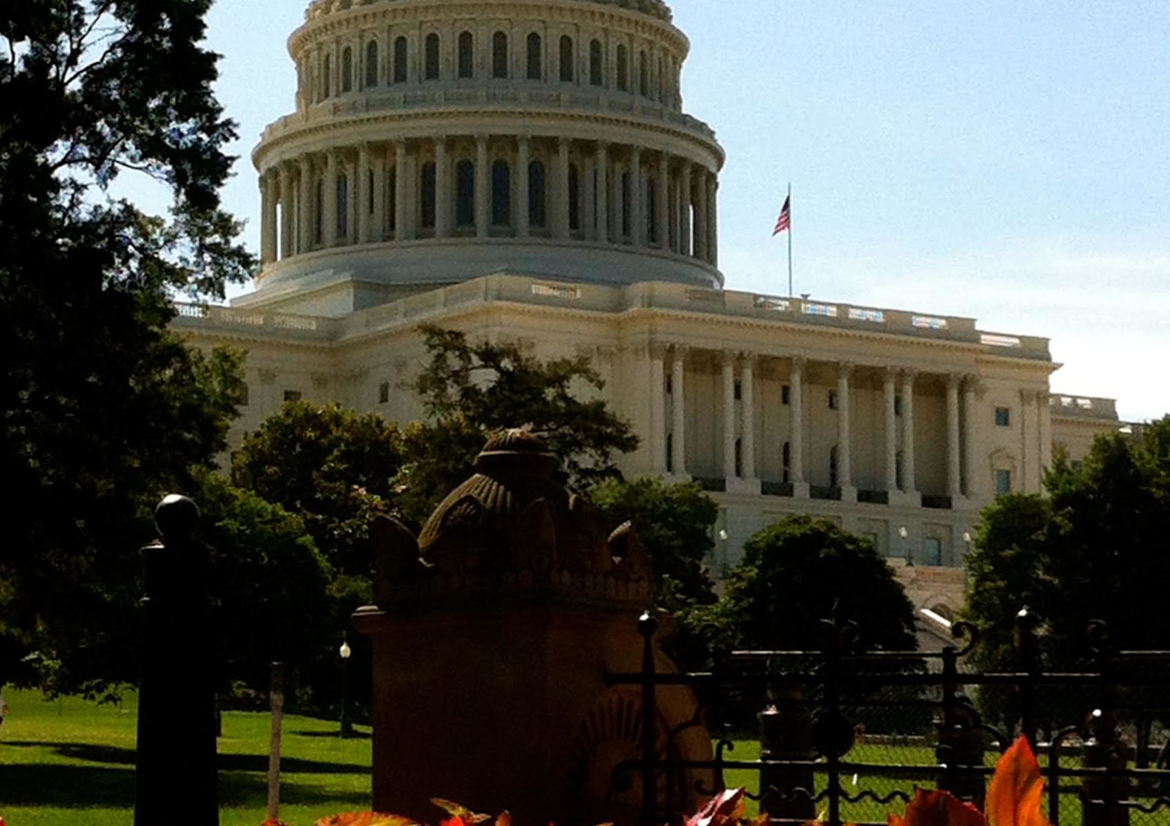 Capitol2 Antiquities Coalition